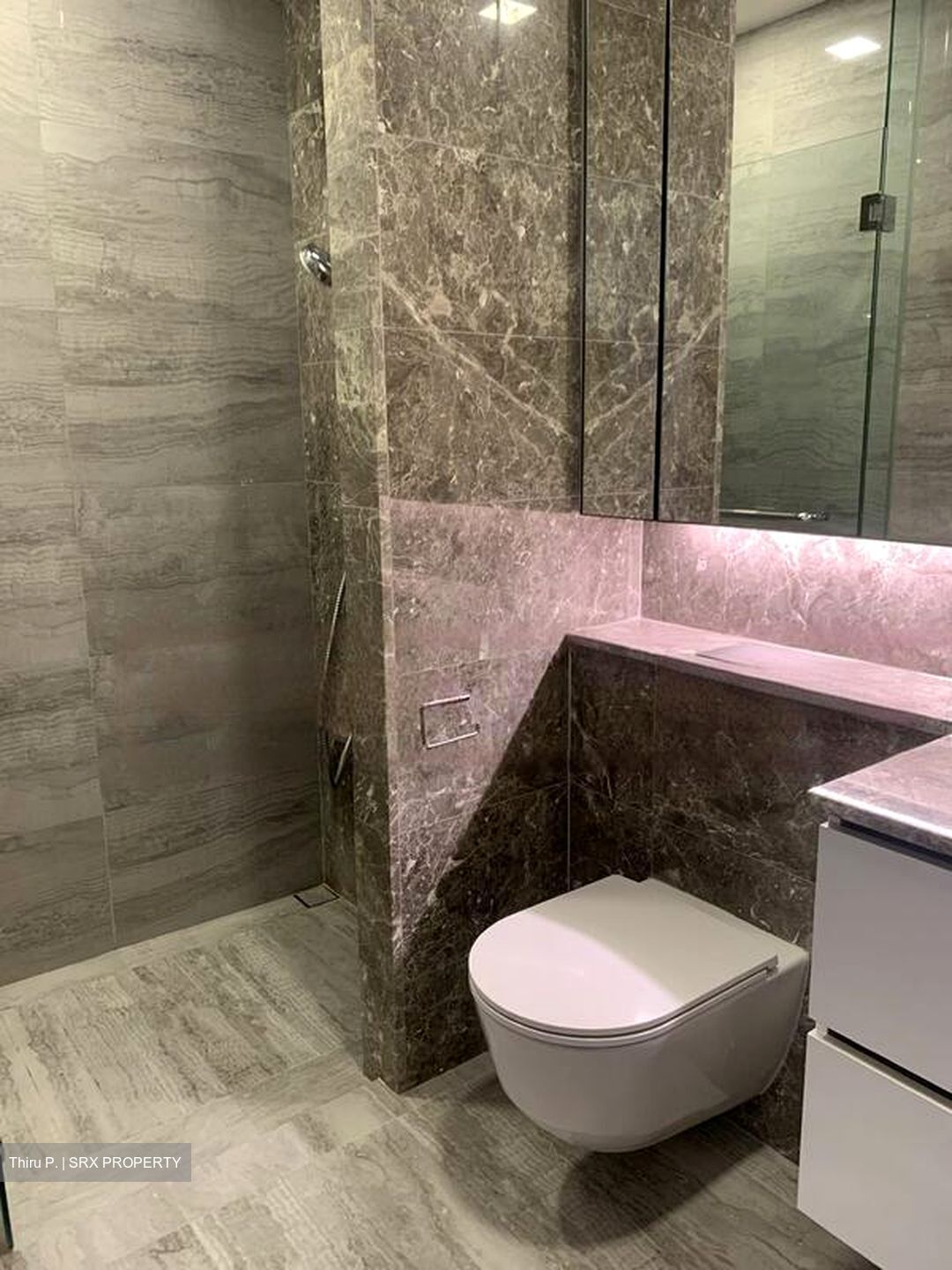 Fourth Avenue Residences (D10), Apartment #445896121